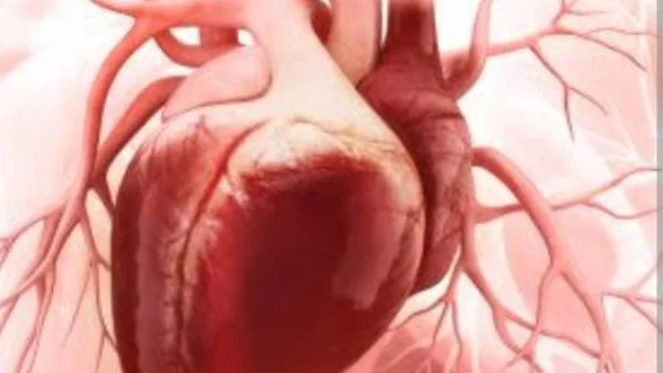 كيف تحمي ابنك من خطر الضغوط النفسية أثناء الامتحانات