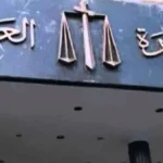 التحول الرقمي يسهم في تحصيل النفقة في مصر