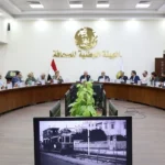 اعتماد الهوية البصرية الجديدة لمنصات روز اليوسف