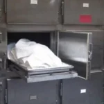 مصرع طفل إثر سقوطه من سيارة ربع نقل في الدقهلية