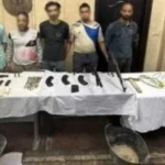 ضبط شبكة للتنقيب عن الآثار بالقاهرة