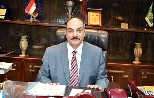 ثورة 30 يونيو: إعادة بناء الدولة المصرية