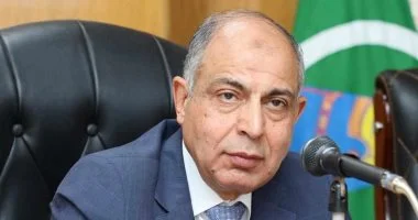 استمرار توريد القمح بمحافظة المنيا