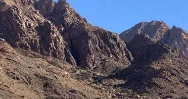 محمية جبل علبة: لؤلؤة البحر الأحمر