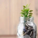 حكم إخراج الزكاة بالتقسيط على مدار العام