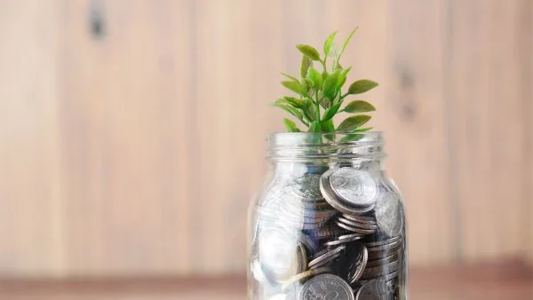 حكم إخراج الزكاة بالتقسيط على مدار العام