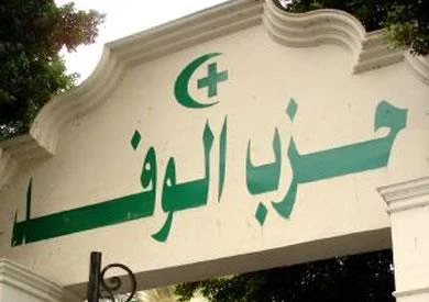 تعيين ماجد نور رئيسًا للجنة الوفد للمصريين بالخارج