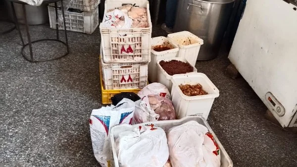 ضبط 240 كجم لحوم ودواجن غير صالحة في القليوبية