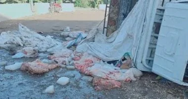 انقلاب سيارة نقل في سوهاج يكشف عن لحوم مجهولة المصدر