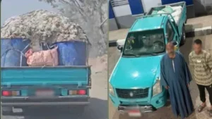 ضبط سيارة نصف نقل محملة بدواجن نافقة بالشرقية