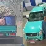 الأمن يكشف ملابسات فيديو نقل دواجن نافقة في الشرقية