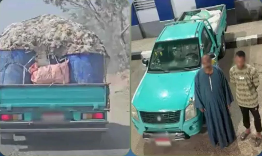 الأمن يكشف ملابسات فيديو نقل دواجن نافقة في الشرقية