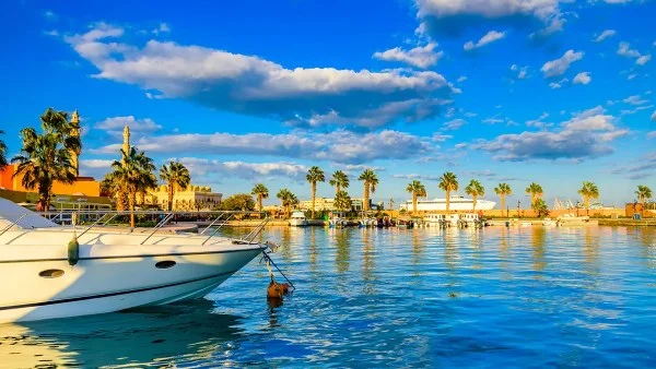 تأجيل زيادة رسوم زيارة محميات البحر الأحمر 6 أشهر