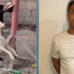 الداخلية توضح ملابسات فيديو اعتداء على كلب