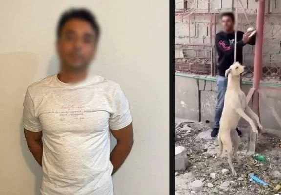 ضبط شخص تعدى على كلب بالدقهلية بسبب دواجن