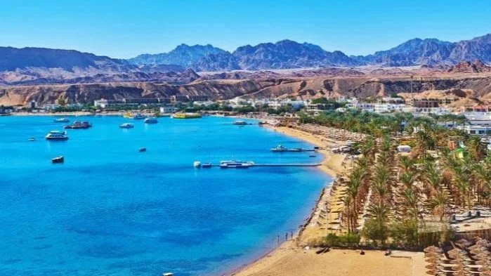 إلغاء الترخيص للمنشآت الفندقية لحماية السياحة