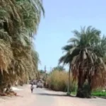 إحالة حادث إتلاف خطوط مياه الشرب في أسوان للنيابة