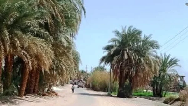 إحالة حادث إتلاف خطوط مياه الشرب في أسوان للنيابة