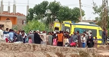 إصابة عروسين واثنين آخرين في حادث تصادم بالغربية