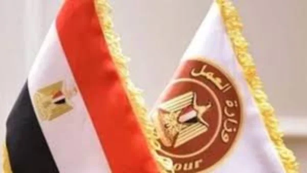 وظائف برواتب تصل إلى 18 ألف جنيه في 6 أكتوبر والعين السخنة