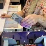 استقرار سعر الدولار أمام الجنيه المصري اليوم