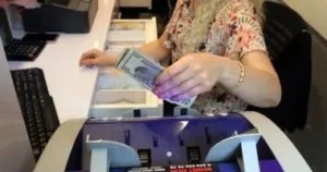 استقرار سعر الدولار أمام الجنيه المصري اليوم