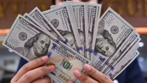 استقرار سعر الدولار أمام الجنيه المصري