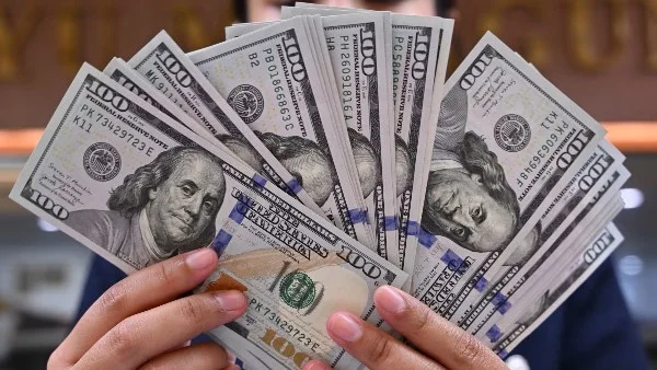 استقرار سعر الدولار أمام الجنيه المصري
