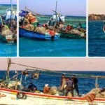 عقوبات صارمة لمخالفات الأقفاص السمكية في مصر