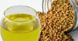 مشروبات تقوي الذاكرة لطلاب الثانوية العامة