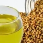 أعشاب لتقوية الذاكرة للطلاب أثناء مراجعة الثانوية