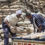 استقرار سعر الأسمنت اليوم السبت 13-6-2026