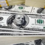 استقرار سعر الدولار أمام الجنيه المصري اليوم