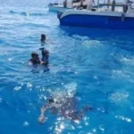 مواقع الغوص الصناعية في الغردقة تجذب عشاق الغطس