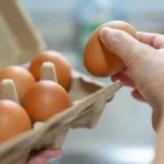 طرق فعالة لتخزين البيض لفترة طويلة