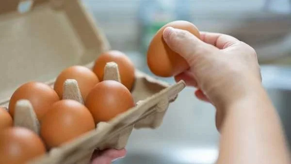 طرق فعالة لتخزين البيض لفترة طويلة