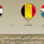 وزير الخارجية المصري يبدأ جولة في أوروبا