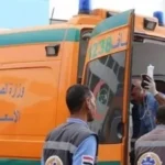 سقوط مبيض محارة من سقالة يودي بحياته في الوادي الجديد