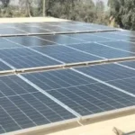 إطلاق منظومة طاقة نظيفة للنباتات الطبية بأسيوط