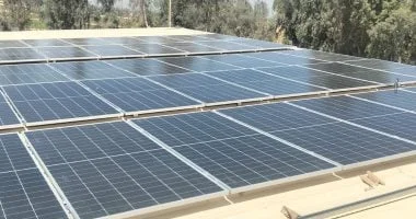 إطلاق منظومة طاقة نظيفة للنباتات الطبية بأسيوط