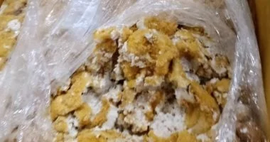 ضبط 27 طن من المصنعات الغذائية الفاسدة في الخانكة