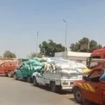 استلام 343.2 ألف طن من القمح ببني سويف