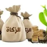 جواز إخراج الزوجة زكاة مالها لزوجها