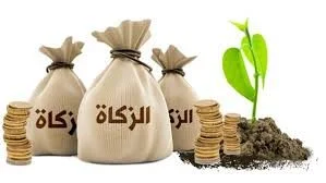 جواز إخراج الزوجة زكاة مالها لزوجها