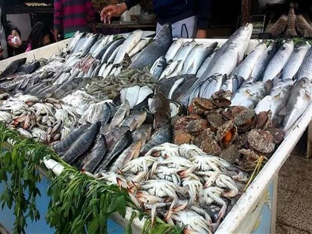 أسعار السمك والجمبري في سوق العبور اليوم الأربعاء