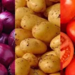 ارتفاع أسعار الخضروات في الأسواق المصرية