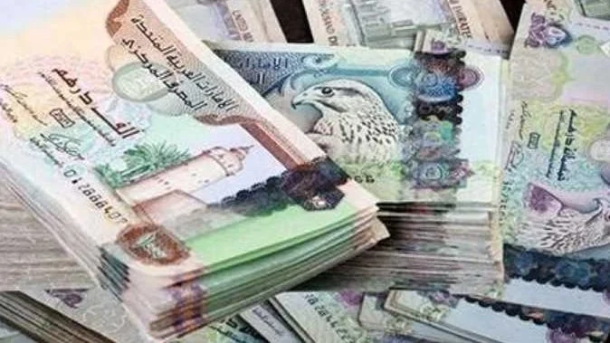 سعر صرف الدرهم الإماراتي مقابل الجنيه اليوم