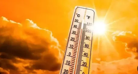 طقس حار ورطوبة مرتفعة في الغربية اليوم الخميس