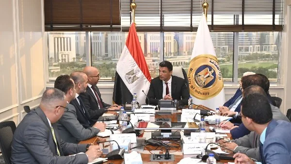 دعم حكومي للصناعات الكهربائية في مصر