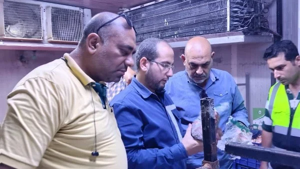 ضبط 4 أطنان لحوم فاسدة في مصنع بالقليوبية